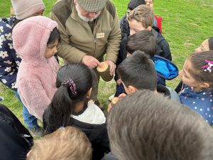 Grundschule Gladbeck